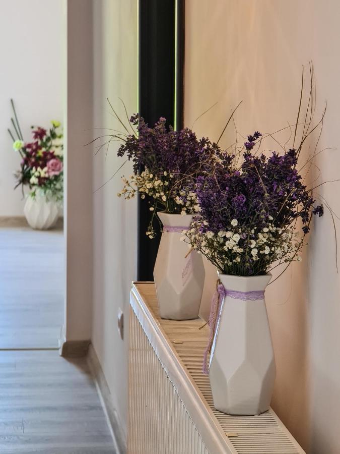 Pensiunea Lavanda, Piatra-neamt Guest house