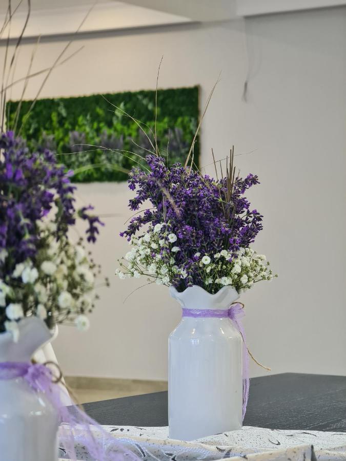 Pensiunea Lavanda, Piatra-neamt Guest house