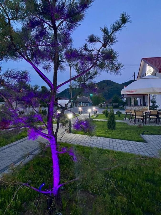 Guest house Pensiunea Lavanda, Piatra-neamt *